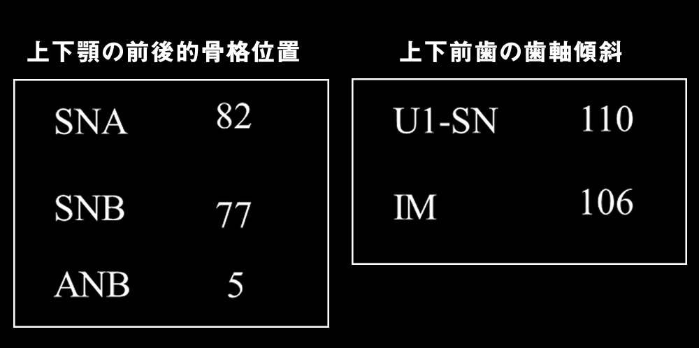 サンプルイメージ